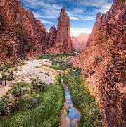 Saudi Arabien Reisen - GALLERY