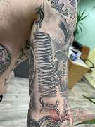 Scartattoo - GALLERY