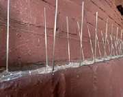 Schädlingsbekämpfung Pusch - 3