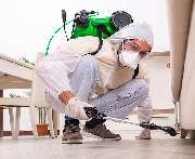 Schädlingsbekämpfungen Staudenmayer - GALLERY