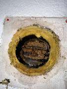 Schädlingsjäger Düsseldorf - GALLERY