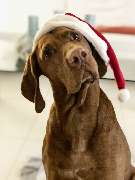 Schäfer & Partner Immobilien GmbH - 19