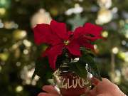 Schäfer & Partner Immobilien GmbH - 26