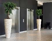 Schayen-Janssen - 12