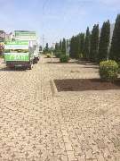 Schayen-Janssen - 18