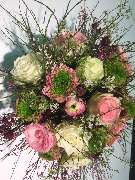 Schayen-Janssen - 21