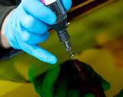 Scheiben-Doktor Traben-Trarbach - GALLERY