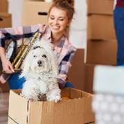 Schepanski Dienstleistungen Umzüge&Entrümpelungen - 3