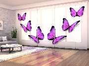 Schiebegardinen 60 cm breit - GALLERY