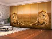 Schiebegardinen 60 cm breit - GALLERY