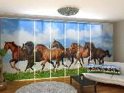 Schiebegardinen 60 cm breit - GALLERY