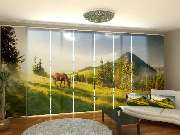 Schiebegardinen 60 cm breit - GALLERY