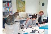 Schill Wolfgang Dr.med.vet. - GALLERY