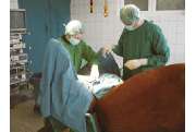 Schill Wolfgang Dr.med.vet. - GALLERY