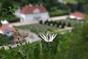 Schloss Wackerbarth - GALLERY