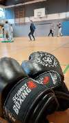 Schmidt-Boxing - GALLERY