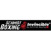 Schmidt-Boxing - LOGO
