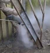 Schmied DampfDruck - GALLERY