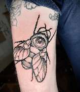 Schmierfink & Robird - Schmierfink & Robird außergewöhnliches tattoo einer fliege mit integriertem auge im körper, surrealistischer stil mit dotwork und realistischen details, kunstvoll gestochen auf oberarm