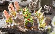 Schmitz - Catering - GALLERY