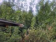 Scholz Allroundservice - IMG-20251007-WA0035.jpg