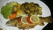 Schorfheider Fischexpress - GALLERY