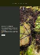 Schorsch Plants - screenshot.png
