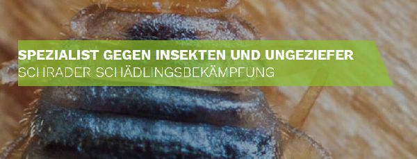 Schrader Schädlingsbekämpfung - 4
