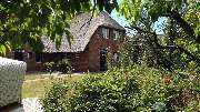 Schroeder's Haus - GALLERY