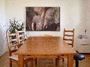 Schug - GALLERY