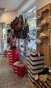 Schuhgeschäft am Markt, Cornelia Kühn / Familienschuhe & Lederwaren - GALLERY