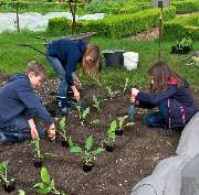 Gartenarbeit