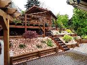 Schwaben Michael - GALLERY