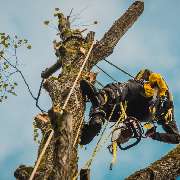 Schwabenwelt Gartenpflege & Hausmeisterservice
