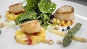 Schwan Restaurant - GALLERY