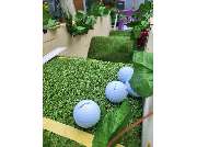 Schwarzlichthof GmbH - GALLERY