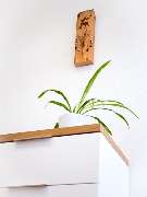 Schwarzwald-Physio - GALLERY