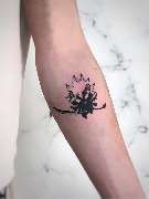 Schwarzwild Tattoo - GALLERY