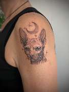 Schwarzwild Tattoo - GALLERY