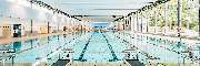 Schwimmschule Miniwelle - GALLERY