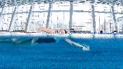 Schwimmsportkomplex Freiberger Platz - GALLERY