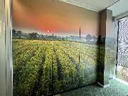 Scire Design - scire_folierung_2-min.jpeg