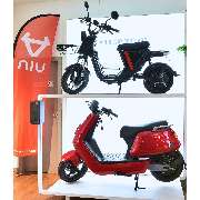 Scooter World - GALLERY