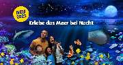 SEA LIFE Konstanz - Erlebe das Meer bei Nacht