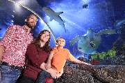 SEA LIFE Konstanz - SEA LIFE Konstanz - 8 Meter langer Unterwassertunnel