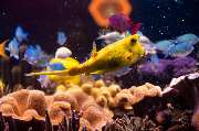 SEA LIFE Speyer - GALLERY
