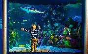 SEA LIFE Timmendorfer Strand - GALLERY