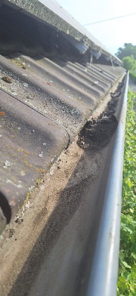 Sebastijan Hausmeister-Service - GALLERY