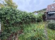SeBo´s Gartenbauservice - GALLERY