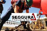 SEGGURA - Arbeitssicherheit Betriebsmedizin Gefahrstoffe - 1